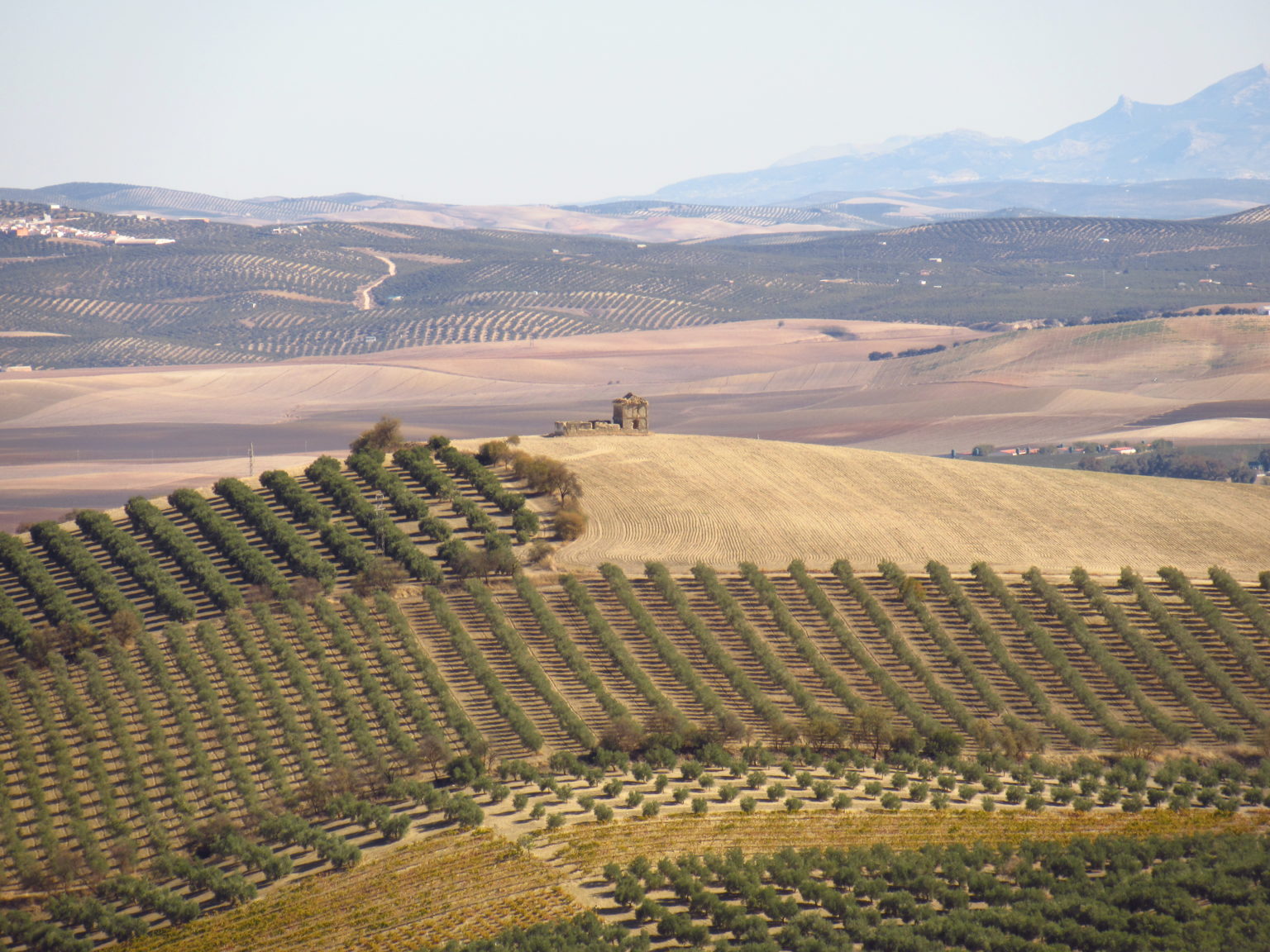 Campiña Sur Cordobesa La Toscana Andaluza Viajes Y Destinos De Todo El Mundo 9710