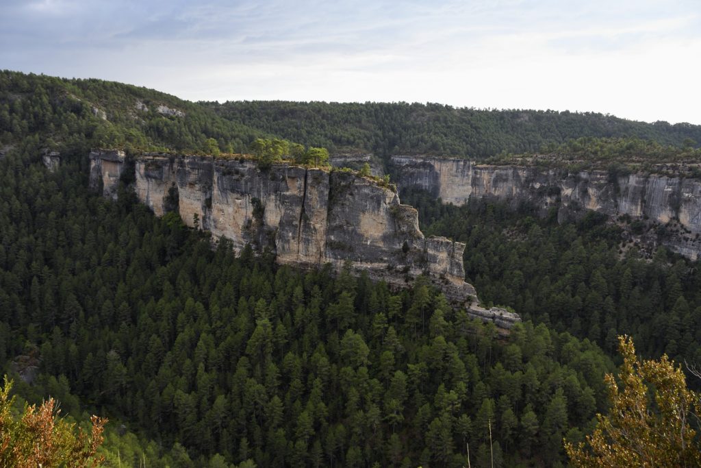 Bosques en el entorno del río Cuervo