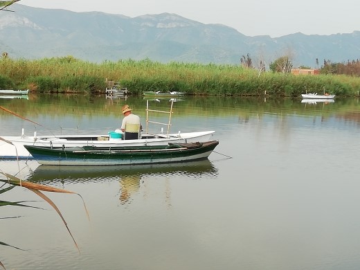 Pescador en L'Estany (Cullera, Valencia)