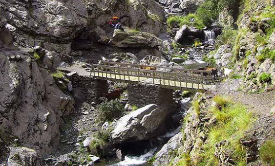 vereda de la estrella14