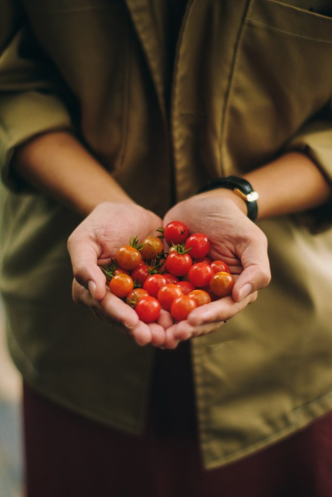 tomate cherry