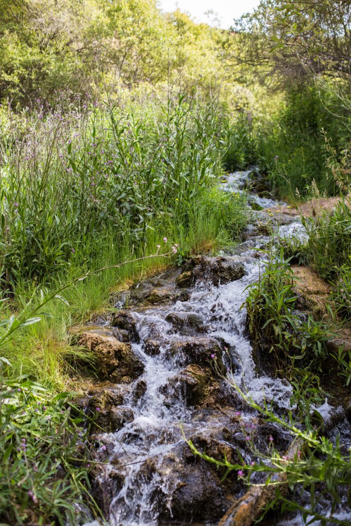 Nacimiento del río Vinalopó en la Sierra de Mariola