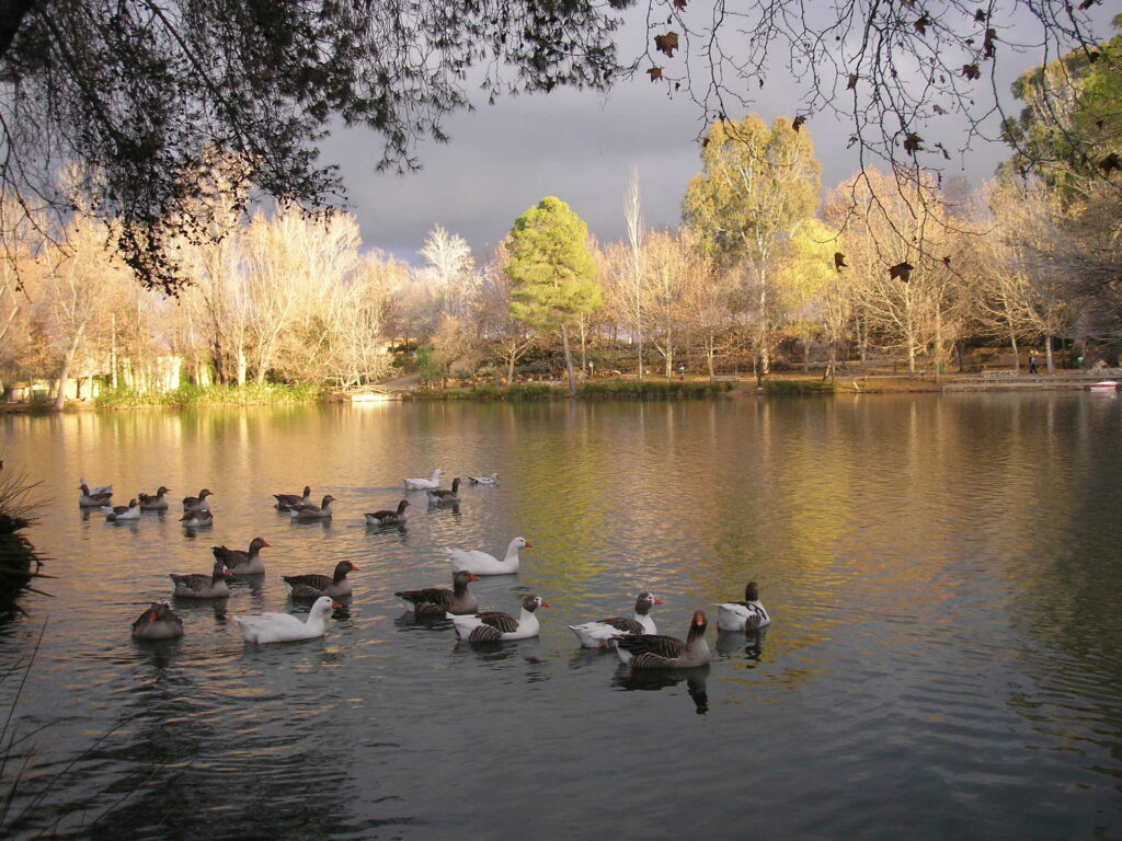 Parque Natural de La Albufera