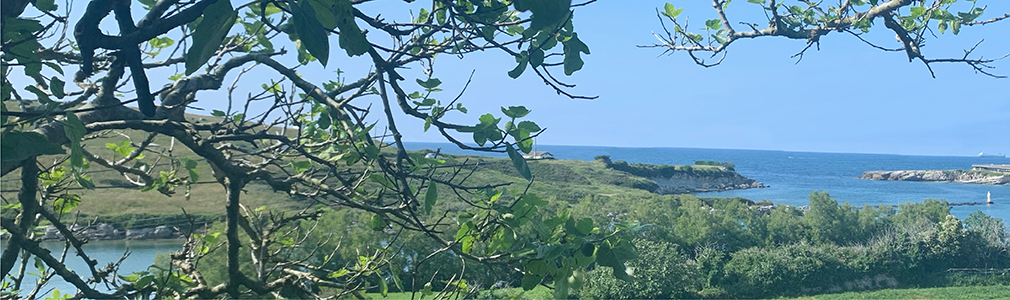 Playa La Maruca