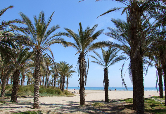 Playa del Pinar (Castellón)