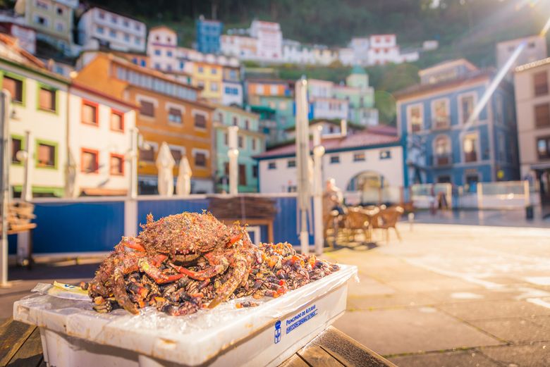 Marisco y casas de colores en Cudillero