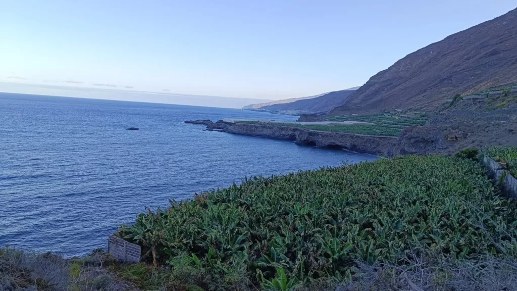 Plataneros y playa